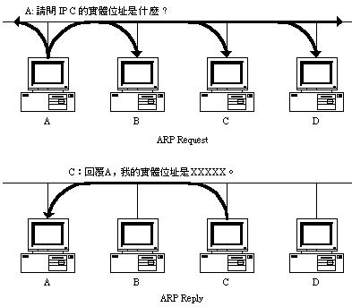 ARP 的查询过程 
