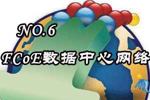 FCoE数据中心网络