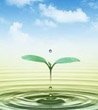 网络扁平化